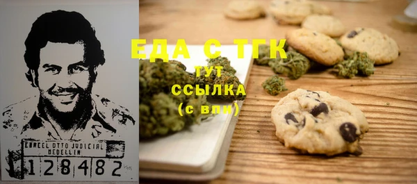 дживик Инта