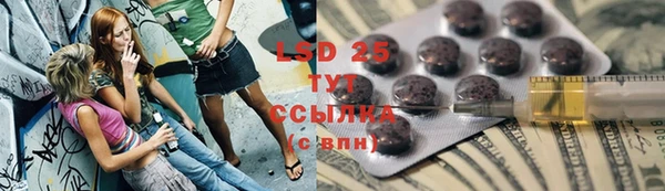 дживик Инта
