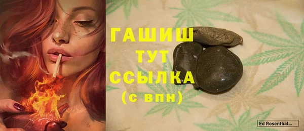 хмурый Инсар
