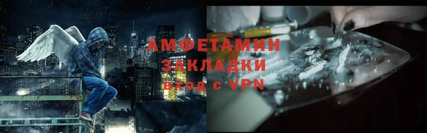 дживик Инта