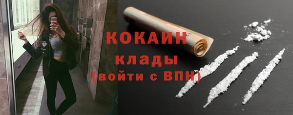 дживик Инта