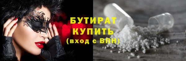 дживик Инта