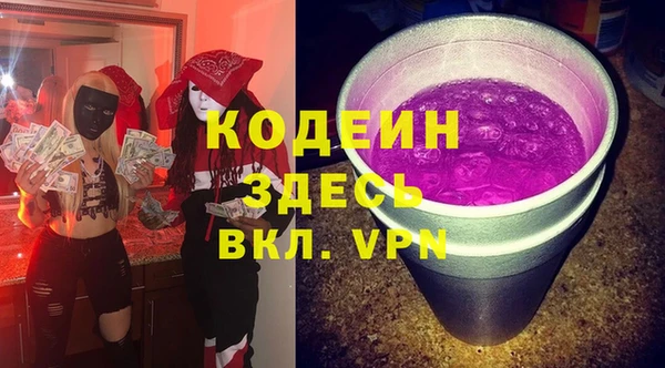 дживик Инта