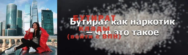 дживик Инта