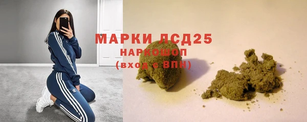 хмурый Инсар