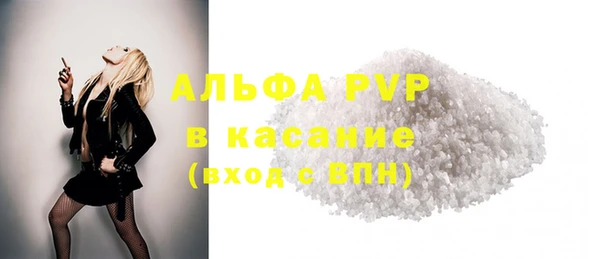 дживик Инта