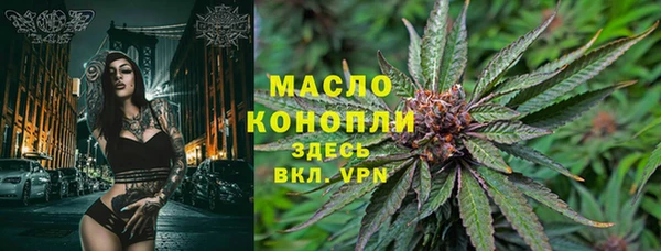 хмурый Инсар