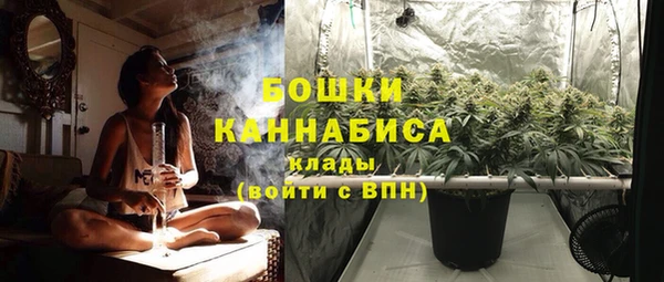 хмурый Инсар