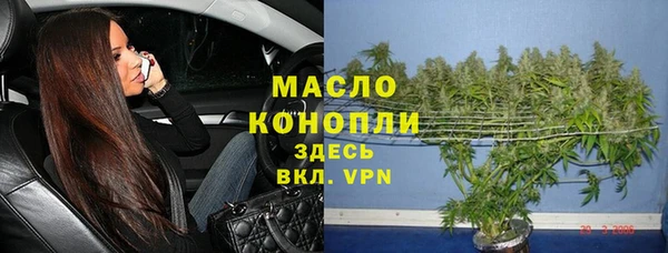 дживик Инта