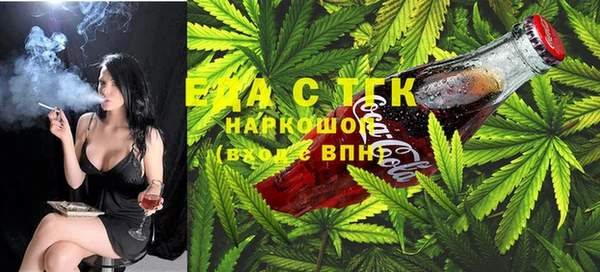 дживик Инта