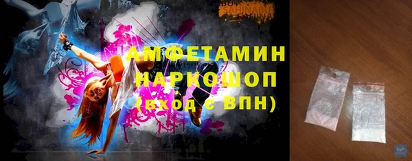 дживик Инта