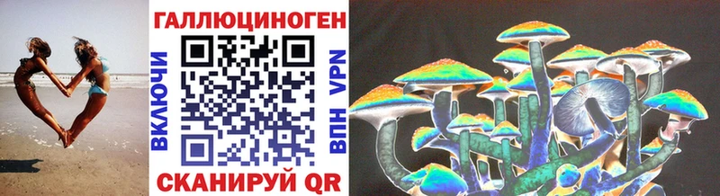 Псилоцибиновые грибы MAGIC MUSHROOMS  Купить где  Гурьевск 